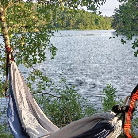 Gauvik - *