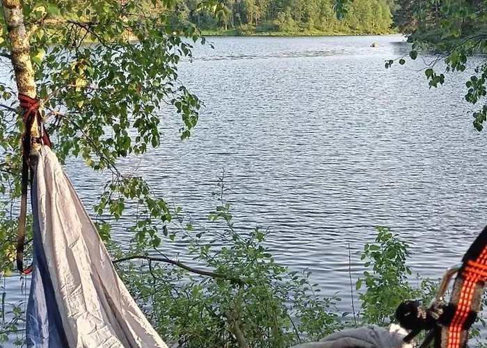 Gauvik - *